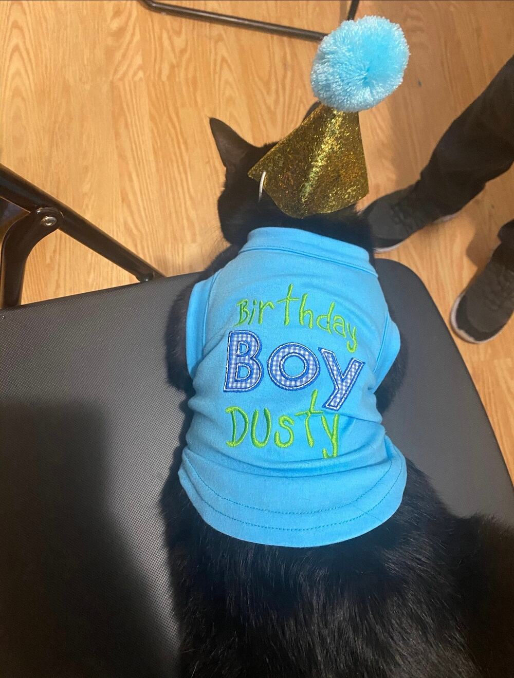 “Birthday Boy Dusty” Happy Birthday Party Shirt for Pet, Dog Cat Clothes